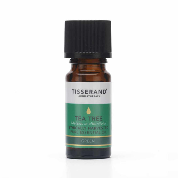 Your Daily Essentials - Essential Oil Trio (Tea Tree, Eucalyptus, Lavender)