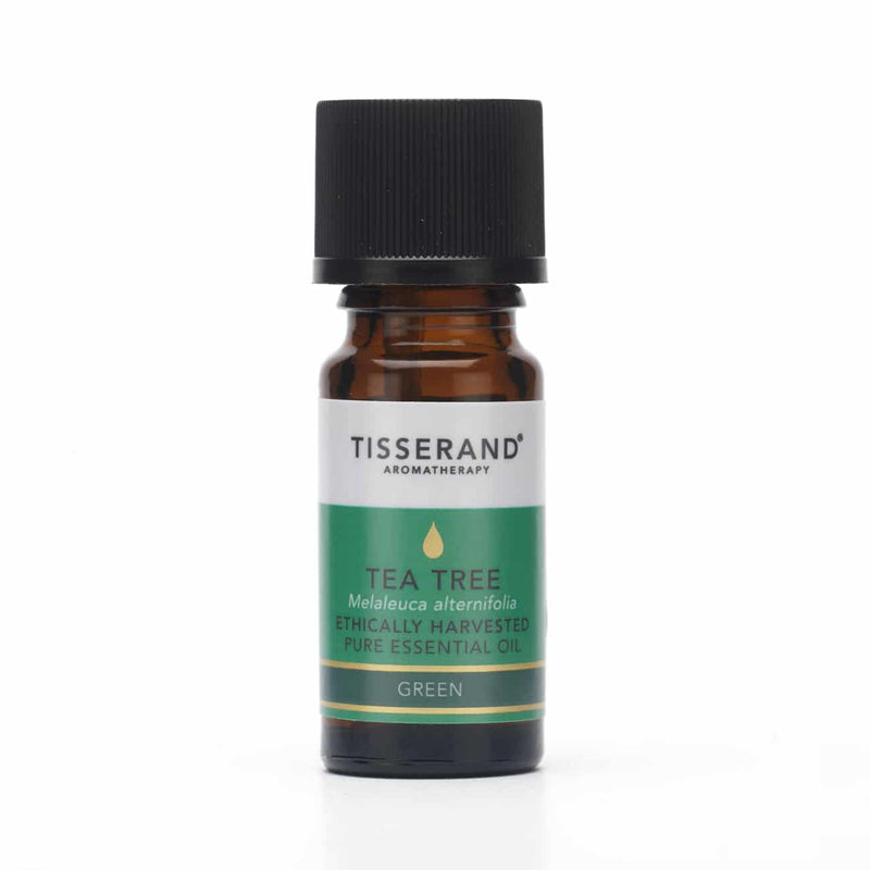 lavender tea tree and eucalyptus Your Daily Essentials